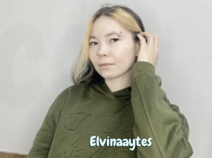 Elvinaaytes