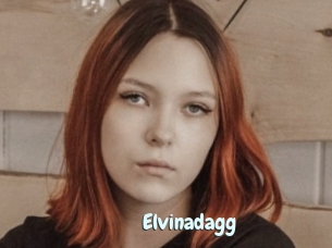 Elvinadagg