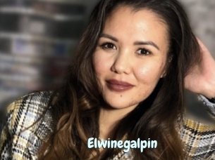 Elwinegalpin