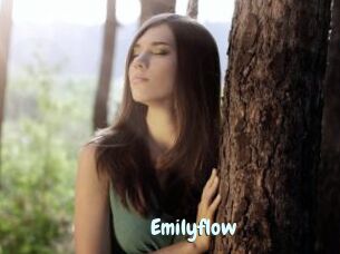 Emilyflow