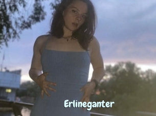 Erlineganter