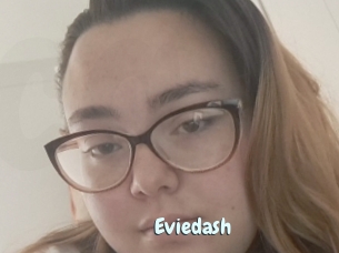 Eviedash