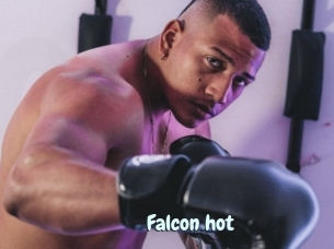 Falcon_hot