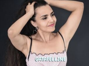 GATAFELLINE