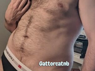 Gattorcatnb