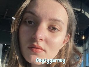 Gaysygarney