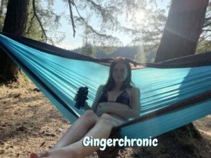 Gingerchronic