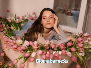 Gloriabarnesa