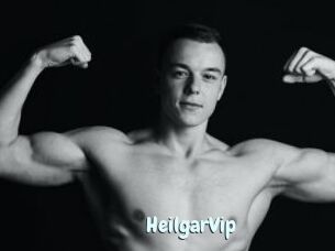 HeilgarVip