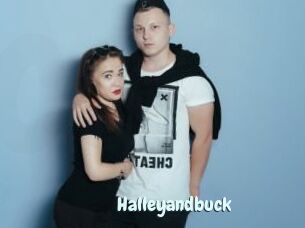 Halleyandbuck