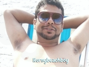 Hornybeachboy