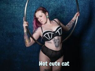 Hot_cute_cat