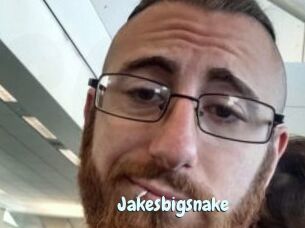 Jakesbigsnake