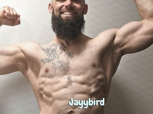 Jayybird