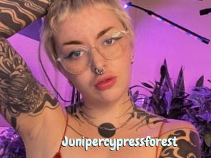 Junipercypressforest