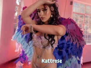 Kattrose