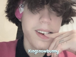 Kingsnowbunny