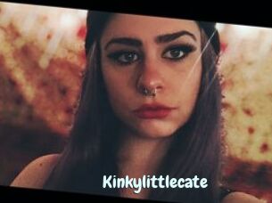 Kinkylittlecate