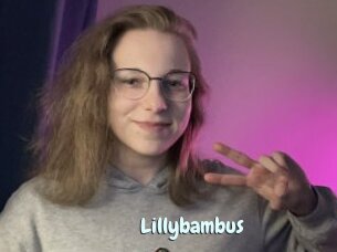 Lillybambus