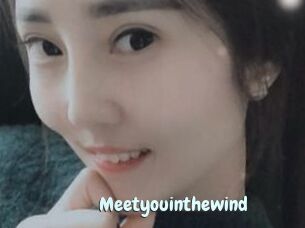 Meetyouinthewind