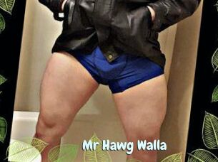 Mr_Hawg_Walla