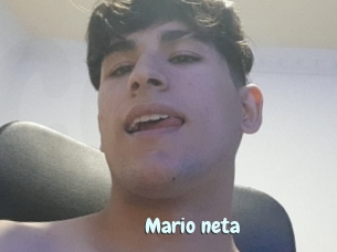 Mario_neta