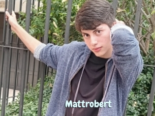 Mattrobert