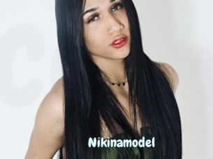 Nikinamodel