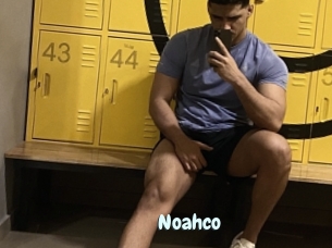 Noahco