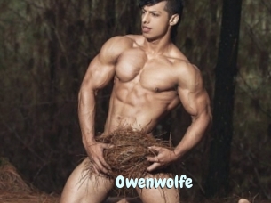 Owenwolfe