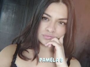 PAMELA_B