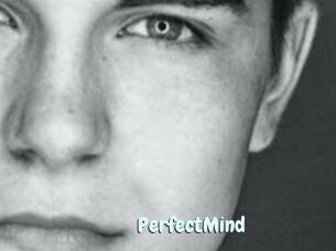 PerfectMind