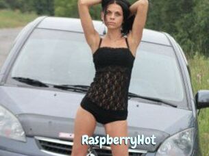 Raspberry_Hot