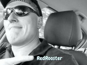 RedRooster