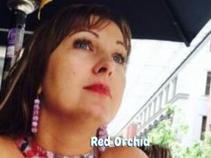 Red_Orchid