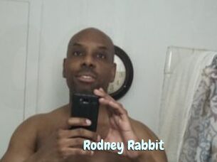 Rodney_Rabbit