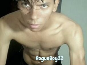 RogueBoy22