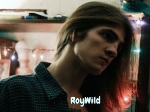 RoyWild