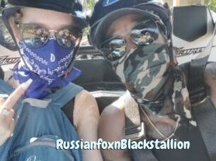 RussianfoxnBlackstallion