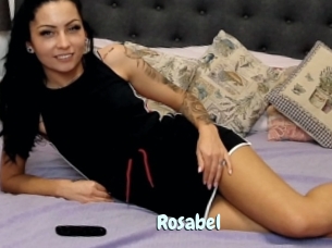 Rosa_bel