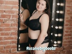 Rosaliebigboobs