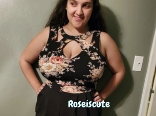 Roseiscute