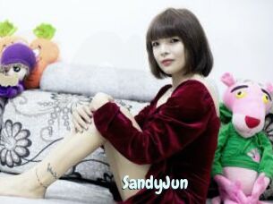 SandyJun