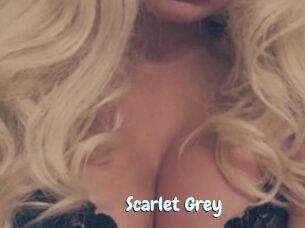 Scarlet_Grey