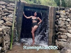 StunningAsianCOCK