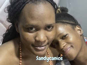 Sandycanice