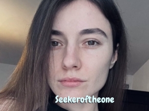 Seekeroftheone