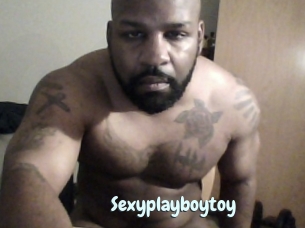 Sexyplayboytoy