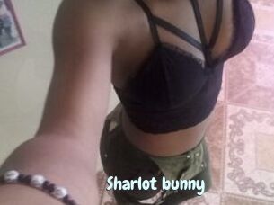 Sharlot_bunny