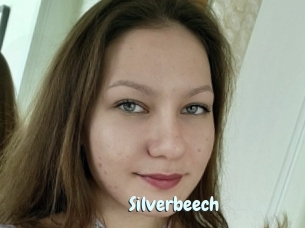 Silverbeech